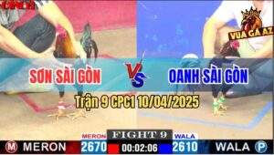 Trận 9 CPC1 10/4/2025 - Anh Oanh Sài Gòn Lụm Đẹp Anh Sơn Sài Gòn