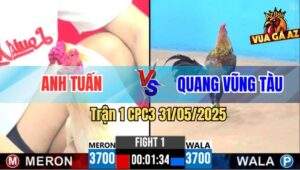 Trận 1 CPC3 31/5/2025 - Gà Úa Chú Khanh Mở Bát Bị Đá Què Giò