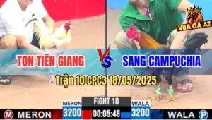 Trận 10 CPC3 18/5/2025 - Gà Bướm Anh Ton Có Chân Xạo Lờ Hàng 6 La làng