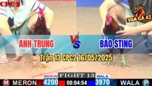 Trận 13 CPC2 16/5/2025 – Anh Trung Bến Tre Vs Anh Bảo Sting