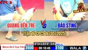 Trận 16 CPC2 16/5/2025 – Anh Quang Bến Tre Vs Anh Bảo Sting