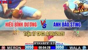 Trận 17 CPC2 4/5/2025 - Gà Anh Hiếu Đâm Que Mặt Lọ Anh Bảo Sting Té Xe