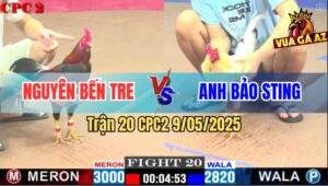 Trận 20 CPC2 9/5/2025 - Đúng Mẻ Hiệu Bảo Sting Nhấc Chân Là Đâm