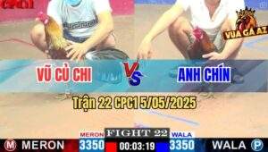 Trận 22 CPC1 5/5/2025 - Gà Xám Anh Vũ Đá Điều Anh Chín Tốc Chạy