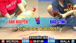 Trận 23 CPC2 16/5/2025 – Anh Nguyên Vs Anh Bảo Sting