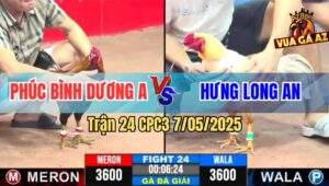 Trận 24 CPC3 7/5/2025 - Chú Phúc Bình Dương A Và Anh Hưng Long An