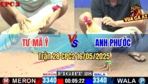 Trận 28 CPC2 16/5/2025 – Anh Tư Mã Ý Vs Anh Phước