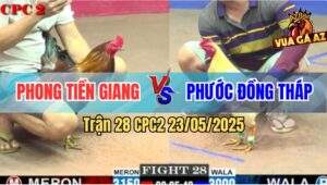 Trận 28 CPC2 23/5/2025 - Úa Cọp Anh Phước Đồng Tháp Đâm Phèn Xì Cơm