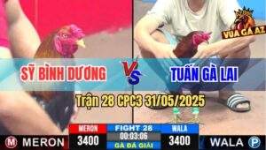 Trận 28 CPC3 31/5/2025 - Anh Sỹ Bình Dương Và Anh Tuấn Gà Lai