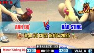 Trận 33 CPC2 16/5/2025 – Anh Dự Vs Anh Bảo Sting