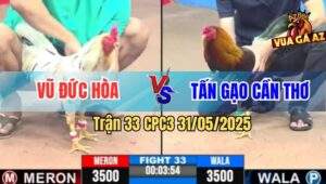 Trận 33 CPC3 31/5/2025 - Đám Điều Cần Thơ Ra Chân Lẹ Hạ Bướm Đức Hòa