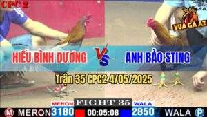Trận 35 CPC2 4/5/2025 - Khét Cọp Bảo Sting Đâm Cựa Như Chỉa
