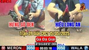 Trận 39 Giải CPC1 15/5/2025 – Anh Quân Long An Vs Anh Gà Lửa