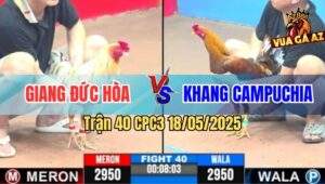 Trận 40 CPC3 18/5/2025 - Khét Đuôi Lao Hạ Bướm Cọp Anh Giang Bay 1 Tỏi