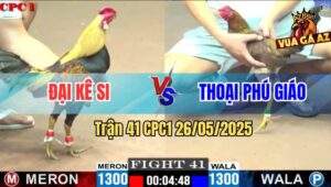 Trận 41 CPC1 26/5/2025 - Gà Mái Lại Anh Thoại Gồng Cứu Thua Quá Hay