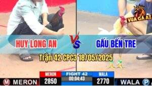 Trận 42 CPC3 18/5/2025 - Anh Gấu Bến Tre Hạ Anh Huy Long An Nhanh Gọn