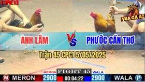 Trận 45 CPC1 5/5/2025 - Gà Khét Anh Phước Cần Thơ Đá Gà Điều Tốc Chạy