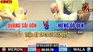Trận 47 CPC1 5/5/2025 - Gà Bướm Anh Quang Có Chân Xạo Lờ Phản 5 Lai