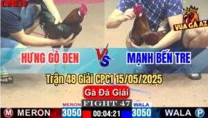 Trận 48 Giải CPC1 15/5/2025 – Anh Hưng Gò Đen Vs Anh Mạnh Bến Tre