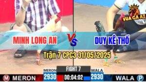 Trận 7 CPC3 31/5/2025 - Điều Anh Duy Đâm Bướm Má Minh Nằm 1 Đống
