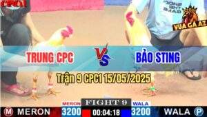 Trận 9 CPC1 15/5/2025 – Anh Trung CPC Vs Anh Bảo Sting