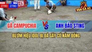 Trận 17 Anh Bảo Sting và Campuchia - Bướm Hiệu Idol Bị Đá Gãy Cổ