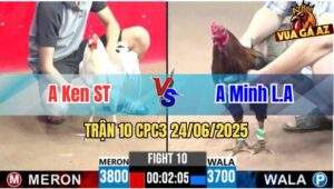 Trận 10 CPC3 24/06/2025 - Gà Que Má Minh Đá Đâm Như Máy Khâu