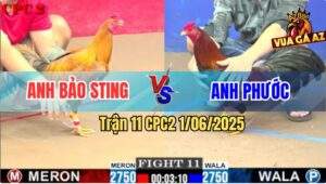 Trận 11 CPC2 1/6/2025 - Anh Bảo Sting Rớt Nài Với Anh Phươc