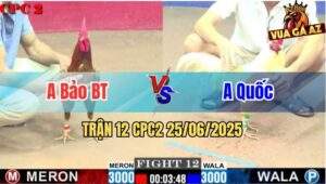 Trận 12 CPC2 25/06/2025 - Gà Úa Anh Quốc Đá 3 Chân Có Kết Quả