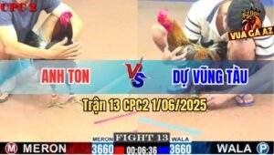 Trận 13 CPC2 1/6/2025 - Gà Điều Anh Ton Lì Đòn Phản Ăn 1 Quá Hay