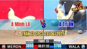 Trận 13 CPC3 24/06/2025 - Anh Minh Long An Vs Anh Trí Đồng Nai