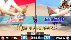 Trận 13 CPC3 29/06/2025 - Chú Luỹ Vs Anh Minh Long An