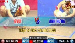Trận 14 CPC1 28/06/2025 - Gà Úa GVUI Đối Đầu Gà Buớm Anh Hưng