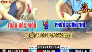Trận 14 CPC1 5/6/2025 - Anh Tuấn Hóc Môn Và Phước Cần Thơ