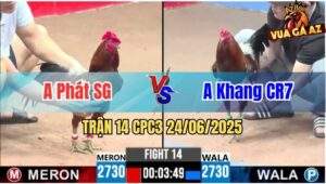 Trận 14 CPC3 24/06/2025 - Anh Phát Sài Gòn Vs Anh Khang CR7