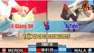 Trận 15 CPC3 24/06/2025 - Anh Giang Đức Hoà Vs Anh Tiến