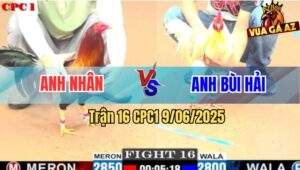 Trận 16 CPC1 9/6/2025 - Điều Siêu Mỹ Anh Nhân Hạ Sát Úa Thái Mỹ