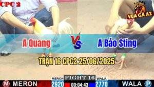 Trận 16 CPC2 25/06/2025 - Anh Quang Vs Anh Bảo Sting