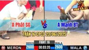 Trận 16 CPC3 23/06/2025 - Gà Bướm Phát Sài Gòn Gồng Gánh Cứu Chủ