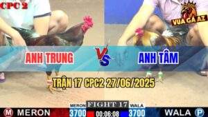 Trận 17 CPC2 27/06/2025 - Gà Điều Anh Trung Né Đòn Hay Gà Xám Bay Bồ