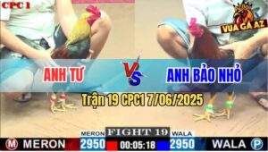 Trận 19 CPC1 7/6/2025 - Điều Anh Bảo Nhỏ Tiễn Chuối Anh Tư Lên Đường