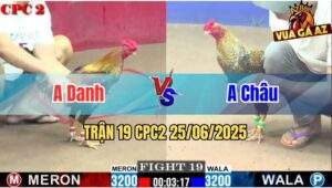 Trận 19 CPC2 25/06/2025 - Gà Chưa Thả Anh Danh Đã Bị Dí Ăn 6