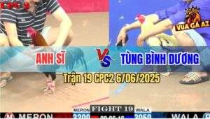 Trận 19 CPC2 6/6/2025 - Gà Điều Anh Si Quá Trâu Bướm Vô Không Nổi