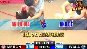 Trận 2 CPC1 28/06/2025 - Gà Điều Mật Của Anh Khoa Đâm Cựa Cực Ngọt