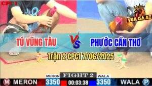 Trận 2 CPC1 7/6/2025 - Mẻ Điều Xanh Anh Tính Ga King Đâm Cựa Quá Tịch