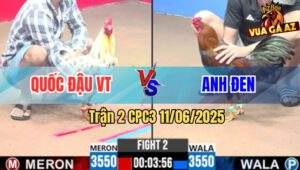 Trận 2 CPC3 11/6/2025 - Bướm Anh Quốc Chạm 1 Cái Biết Ngay Thắng Thua