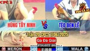 Trận 20 CPC2 1/6/2025 - Anh Hùng Tây Ninh Và Anh Tèo Đen Lê