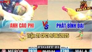 Trận 21 CPC1 9/6/2025 - Bướm Anh Cao Phi Mai Độ Đá Tăng 1 Có Kem
