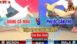 Trận 21 CPC2 1/6/2025 - Anh Giang Cà Mau Và Anh Phước Cần Thơ
