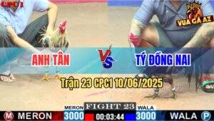 Trận 23 CPC1 10/6/2025 - Điều Anh Tý Đá Cú Còn 5 Lai Quay Xe Chạy